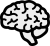 Brain icon