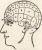 Phrenology Map