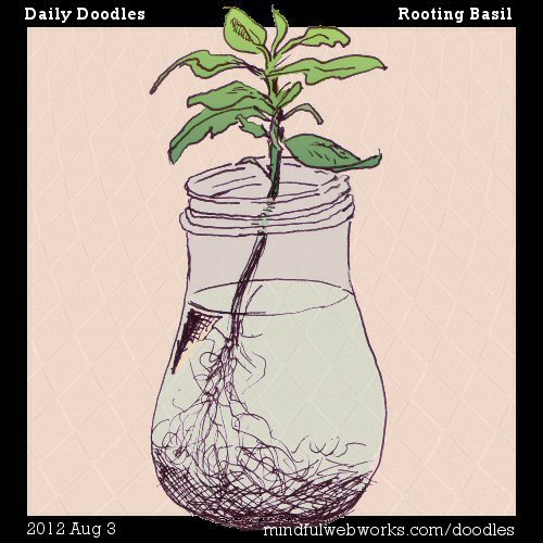 Rooting Basil