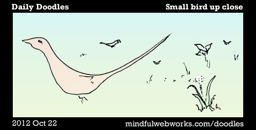 Small Bird Up Close
