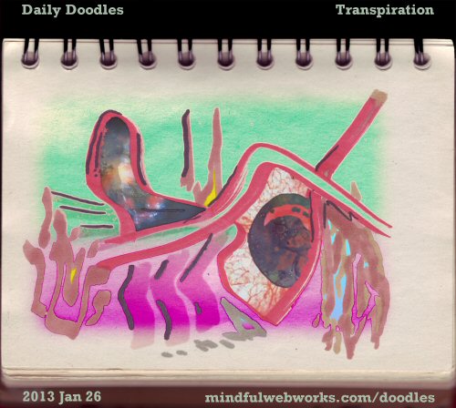 Transpiration
