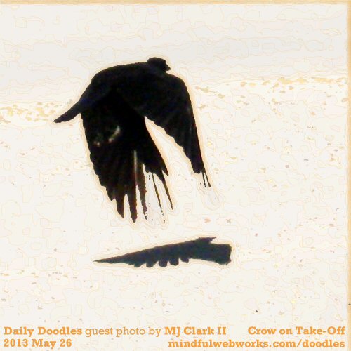 Crow on Take-Off
