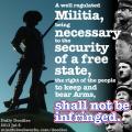 Shall Not Be Infringed