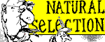 Natural Selection