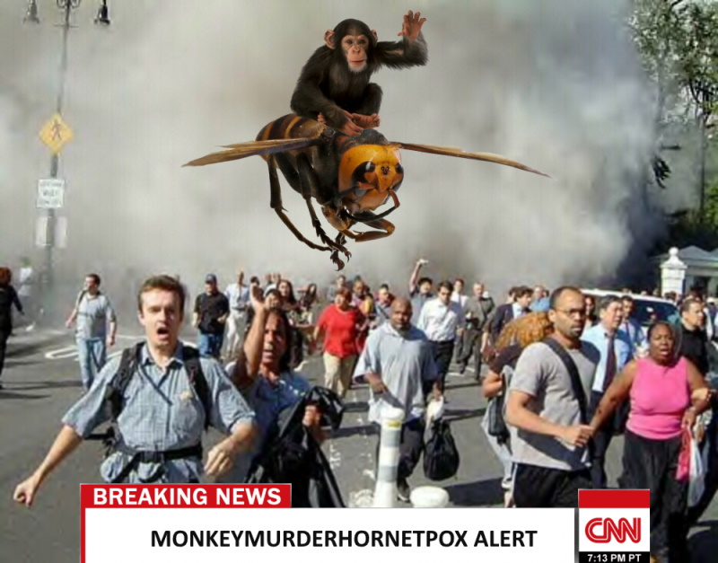 Monkey Murder Hornet Pox
