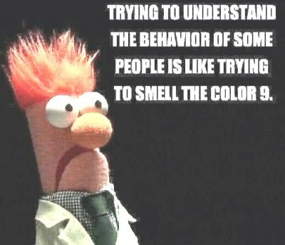 Trying to understand some people is like trying to smell the number 9