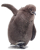 penguin chick