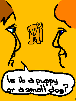 He: Is it a puppy or a small dog?