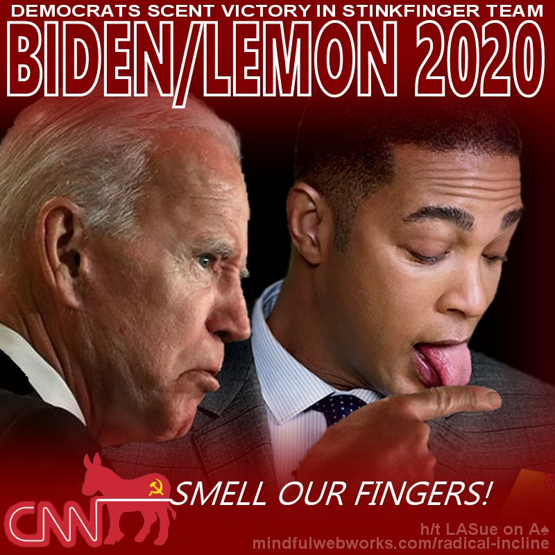 Biden/Lemon 2020