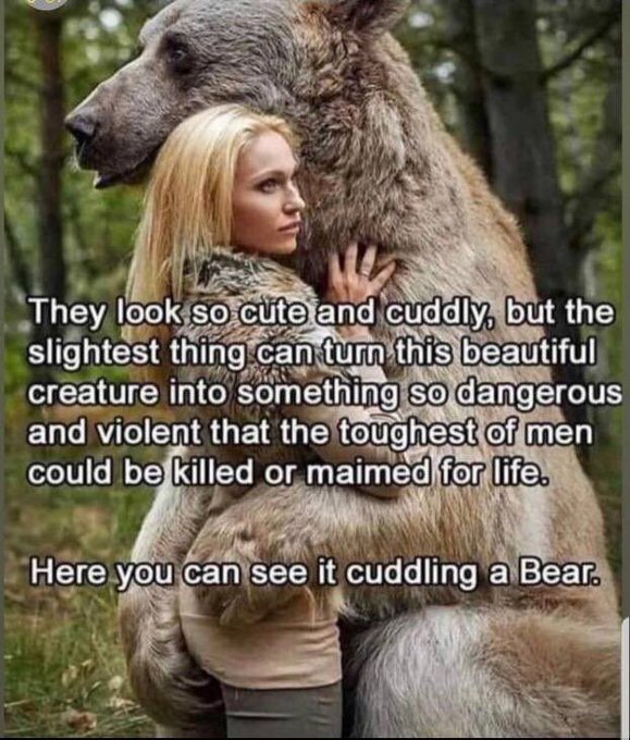 Cute, cuddly, and deadly