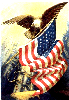 Eagle and US Flag