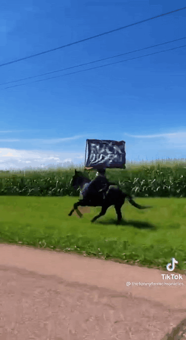 FJB flag on horseback