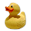 rubber duck