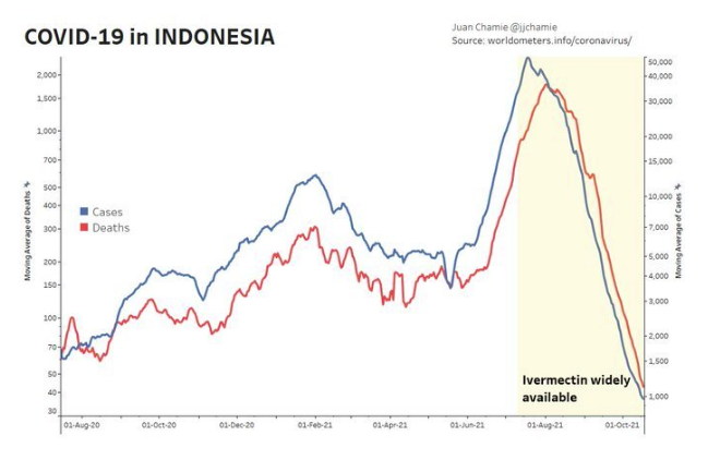 Ivermectin in Indonesia