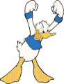 Donald, enraged