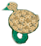 Hen